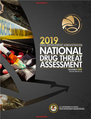 Image for 2019 National Drug Threat Assessment