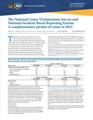 Image for The National Crime Victimization Survey and National Incident-Based Reporting System: A complementary picture of crime in 2021