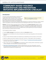 Image for Community Based Violence Intervention and Prevention Initiative Implementation Checklist