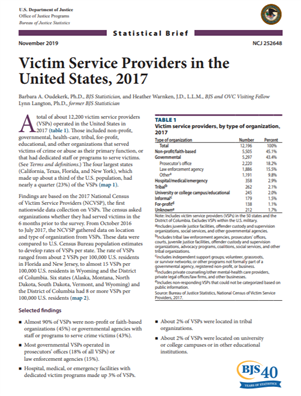 Image for Statistical Brief: Victim Service Providers in the United States, 2017