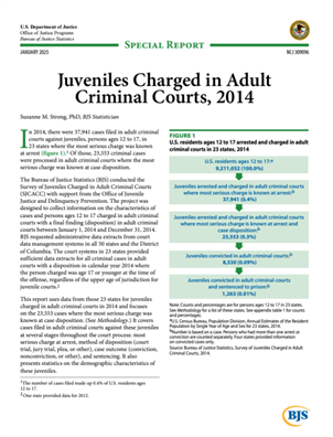 Image for Juveniles Charged in Adult Criminal Courts, 2014