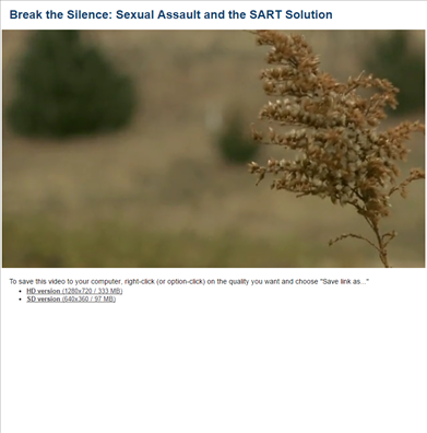 Image for Break the Silence: Sexual Assault and the SART Solution