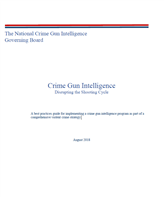 Image for Crime Gun Intelligence: Disrupting the Shooting Cycle