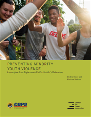 Image for Preventing Minority Youth Violence: Lessons from Law Enforcement—Public Health Collaborations