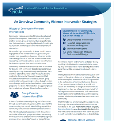 Image for An Overview: Community Violence Intervention Strategies