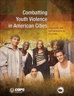 Image for Combatting Youth Violence in American Cities