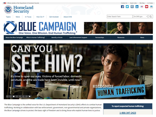 Image for DHS Blue Campaign