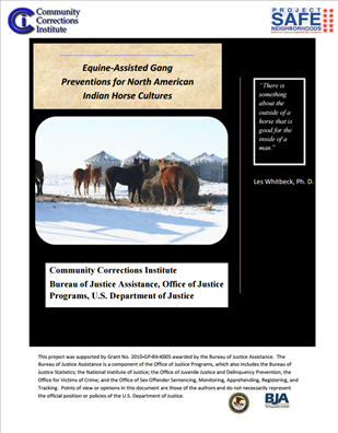 Image for Equine-Assisted Gang Preventions for North American Indian Horse Cultures