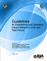 Image for Guidelines for Establishing and Operating Gang Intelligence Units and Task Forces
