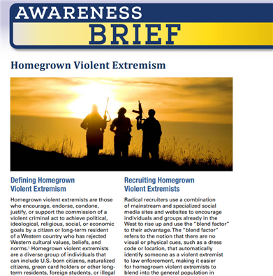 Image for Awareness Brief: Homegrown Violent Extremism