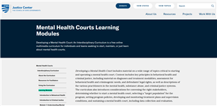 Image for Developing a Mental Health Court - An Interdisciplinary Curriculum