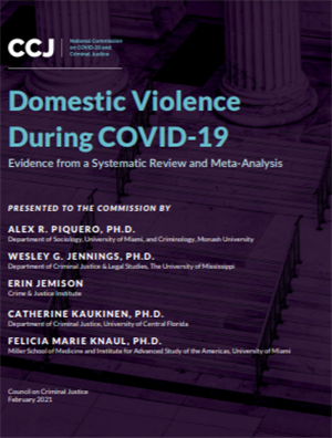 Image for Domestic Violence During COVID-19