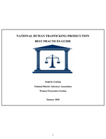 Image for National Human Trafficking Prosecution Best Practices Guide