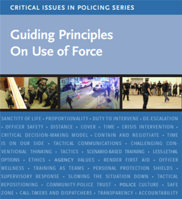 Image for Critical Issues in Policing Series: Guiding Principles On Use of Force