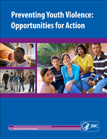 Image for Preventing Youth Violence: Opportunities for Action
