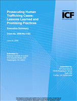 Image for Prosecuting Human Trafficking Cases: Lessons Learned and Promising Practices