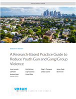 Image for A Research-Based Practice Guide to  Reduce Youth Gun and Gang/Group  Violence