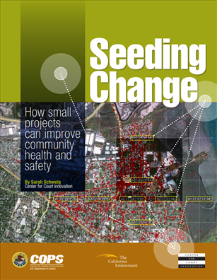 Image for Seeding Change:  How Small Projects Can Improve Community Health and Safety