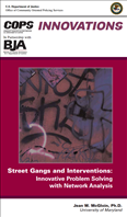 Image for Street Gangs and Interventions: Innovative Problem Solving with Network Analysis
