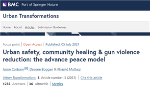 Image for Urban safety, community healing & gun violence reduction: the advance peace model