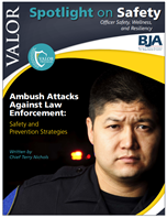 Image for Ambush Attacks Against Law Enforcement: Safety and Prevention Strategies
