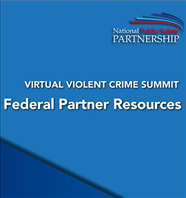 Image for 2021 PSP Virtual Violent Crime Summit: Federal Partner Resources