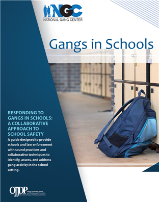 Image for Gangs in Schools