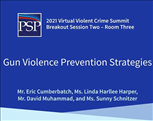 Image for 2021 PSP Virtual Violent Crime Summit: Gun Violence Prevention Strategies